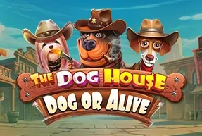 The Dog House Dog or Alive
